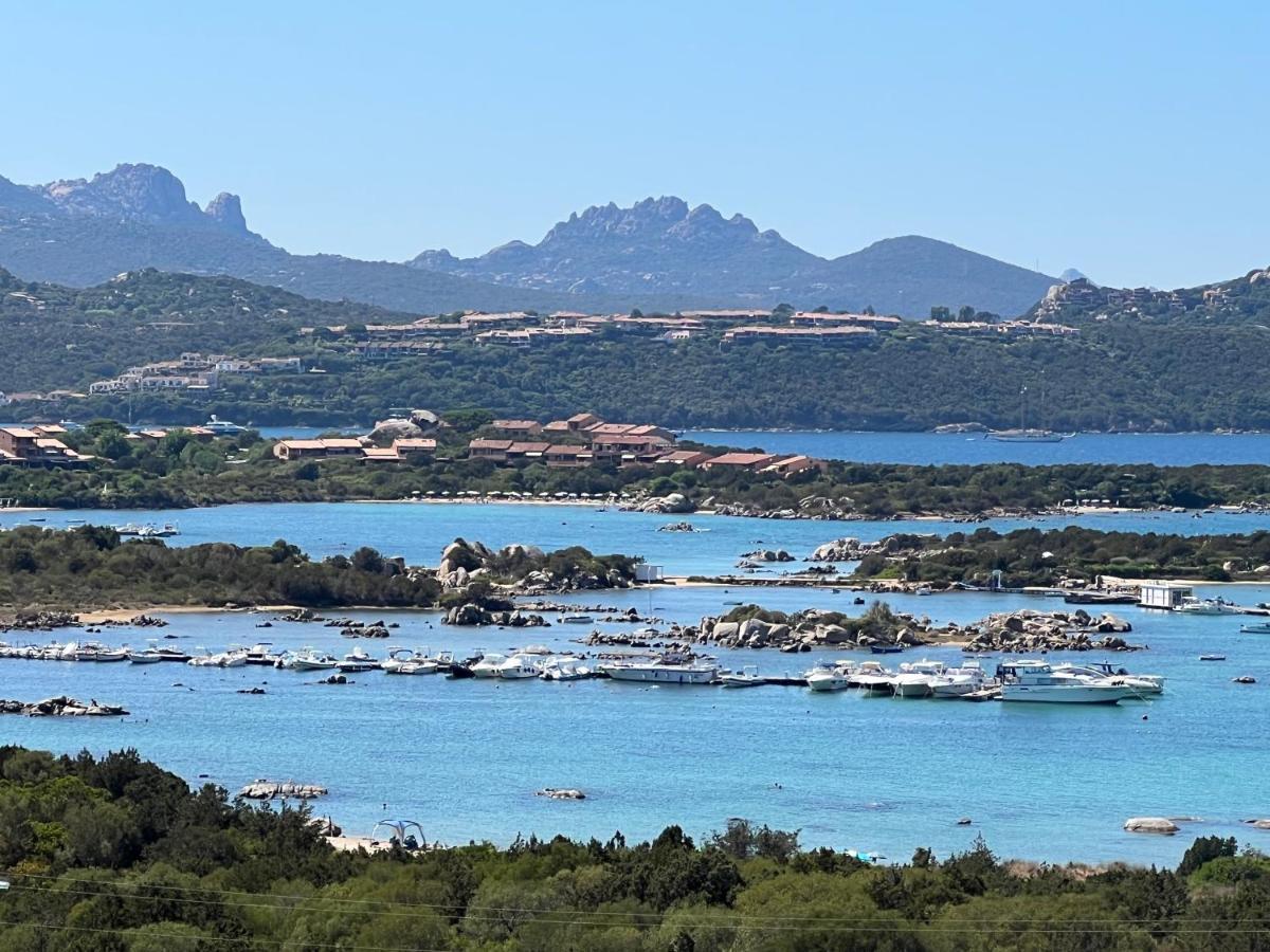 Апартаменты Casa Sibilla Bi-Locale Con Terrazza A 60 Metri Dal Mare Маринелла Экстерьер фото